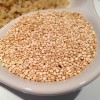 QUINOA - moderná alternatíva bežných príloh stravy